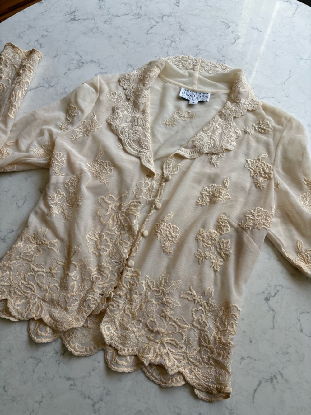 Vintage Embroidered Sheer Button-Up Blouse in Light Beige 4